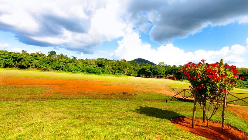 The nature reserve is located on the Kabalebo river in the western region of Suriname by René Holtslag