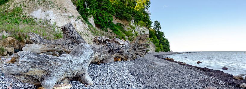 Driftwood at the Baltic sea by Leopold Brix