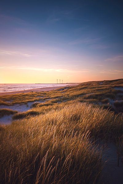 Paysage de dunes près de Hvide Sande par Florian Kunde