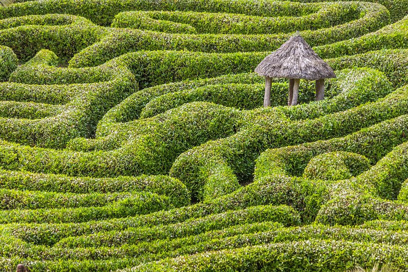Maze at Glendurgan Garden, Cornwall by Christian Müringer