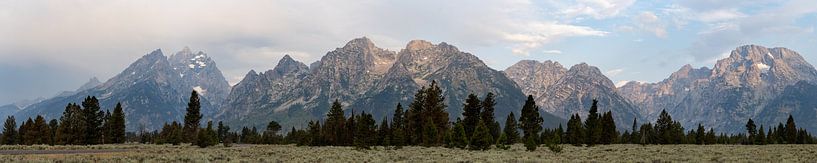 Grand Teton National Park, USA, Panorama in der Morgensonne von Jeroen van Deel