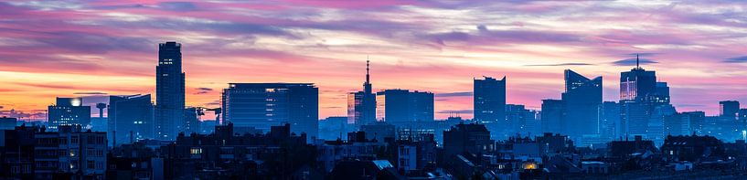 Pink panorama over Brussels by Werner Lerooy