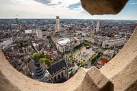 View from Antwerp Cathedral: The Green Place