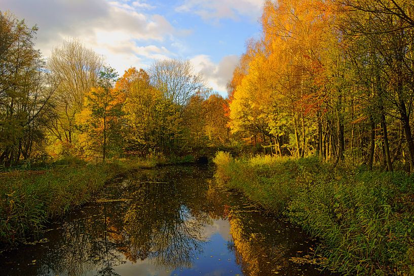 Herfst in de Hollandse Biesbosch von Michel van Kooten