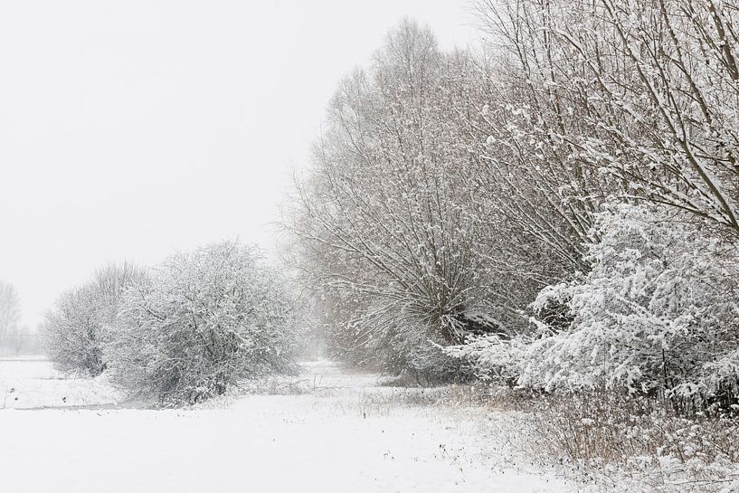 Wintereinbruch in den Rheinauen bei Düsseldorf von wunderbare Erde