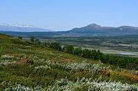 Dovrefjell
