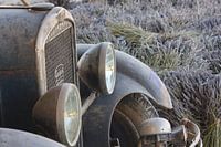 Alter Peugeot im Lavendel