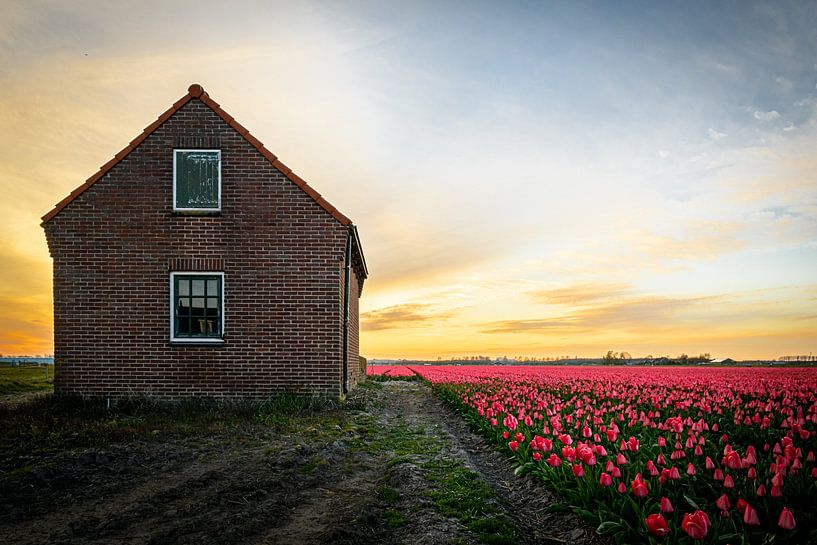 Paysage néerlandais par Peter Nijsen