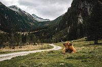 Promenade vers la Arthur von Schmid Haus, Mallnitz, Autriche