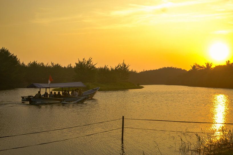 Sie wollen in die Sonne gehen von Muhammad Sachidhani