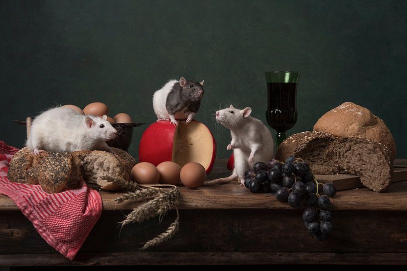 Beratung zum Mittagessen von Elles Rijsdijk