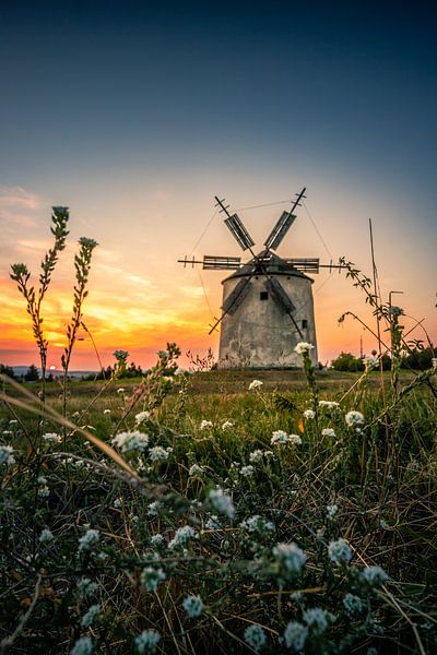 Moulin en pierre au coucher du soleil Tez Unagrn avec fleurs par Fotos by Jan Wehnert