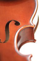 violon 4 / détail du côté gauche debout