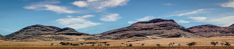 Panorama des Damaralandes in Namibia von Rietje Bulthuis