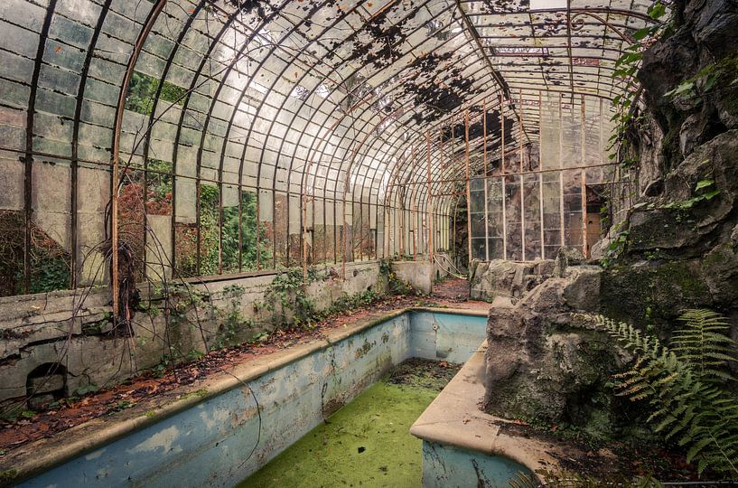 Orangerie mit Schwimmbad von Dafne Op 't Eijnde