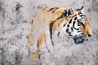 La beauté redoutée