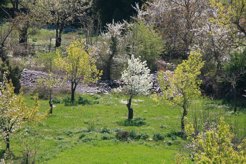 Voorjaar par Jim van Iterson