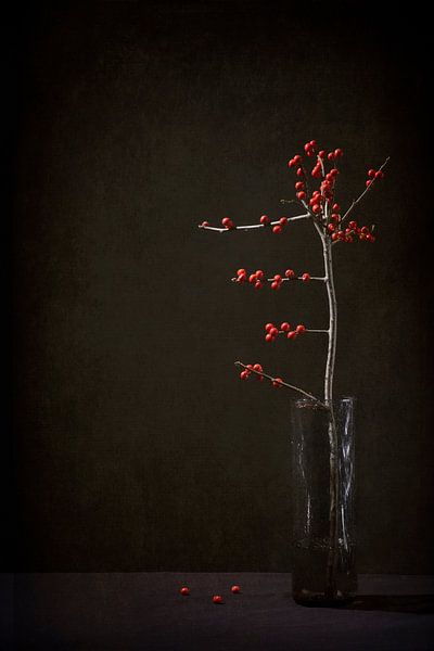 Les baies témoins silencieuses par Karin van Bylevelt