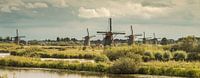 Panorama Kinderdijk