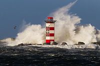 La puissance de la mer du Nord contre le phare