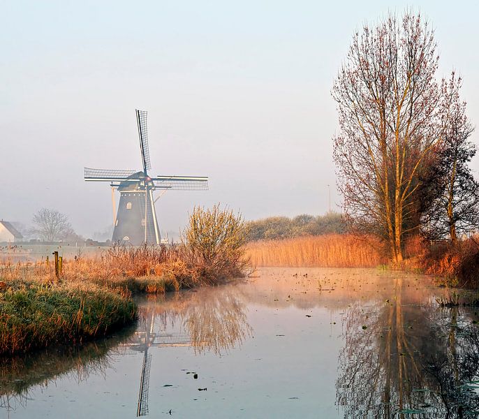 Mühle im Polder von Johan Wouters