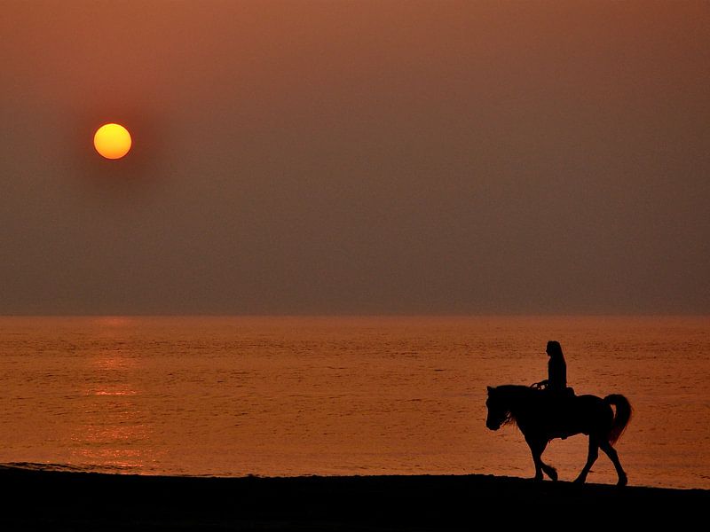 Amazon by the sea by Emil Golshani