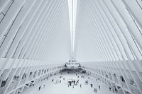 Die Oculus World Trade Center Transportation Hub Station am Ground Zero in Manhattan, New York
