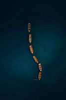 Boats Lago di Braies from above