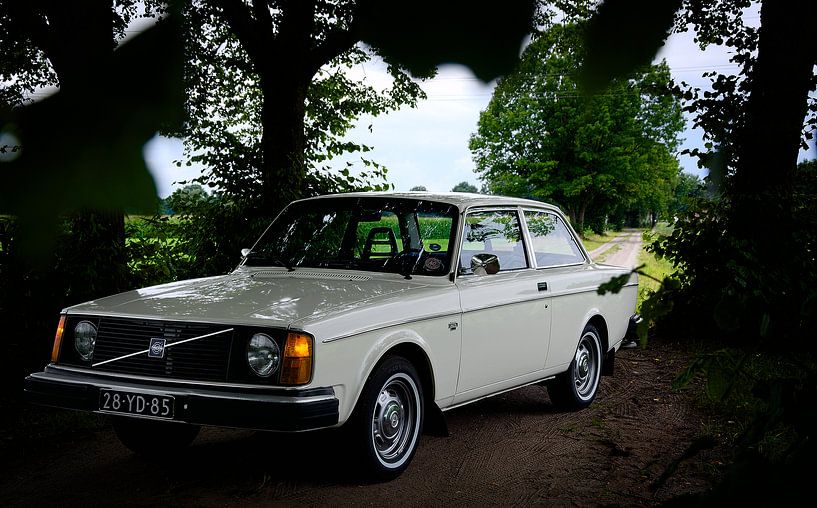 Classic Volvo 242 by Niek Van Helden