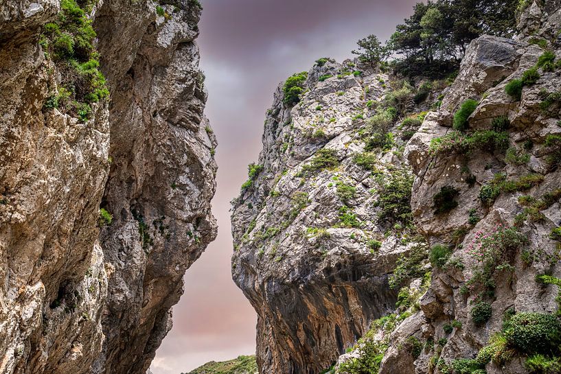 Die verliebten Felsen in der Kotsifou-Schlucht, Kreta, Griechenland von Chantalla Photography
