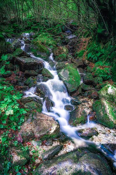 Kleiner Bach im Verzascatal von Nicc Koch