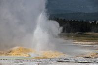 Geyser in Yellowstone