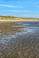 Strand und Dünenrand