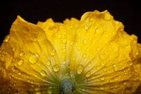 Une perspective différente