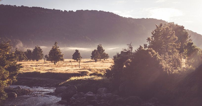 Morning Sun at Lake Matheson Area by WvH