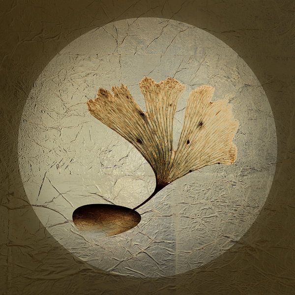 Force 2 : Ginkgo. par Alie Ekkelenkamp