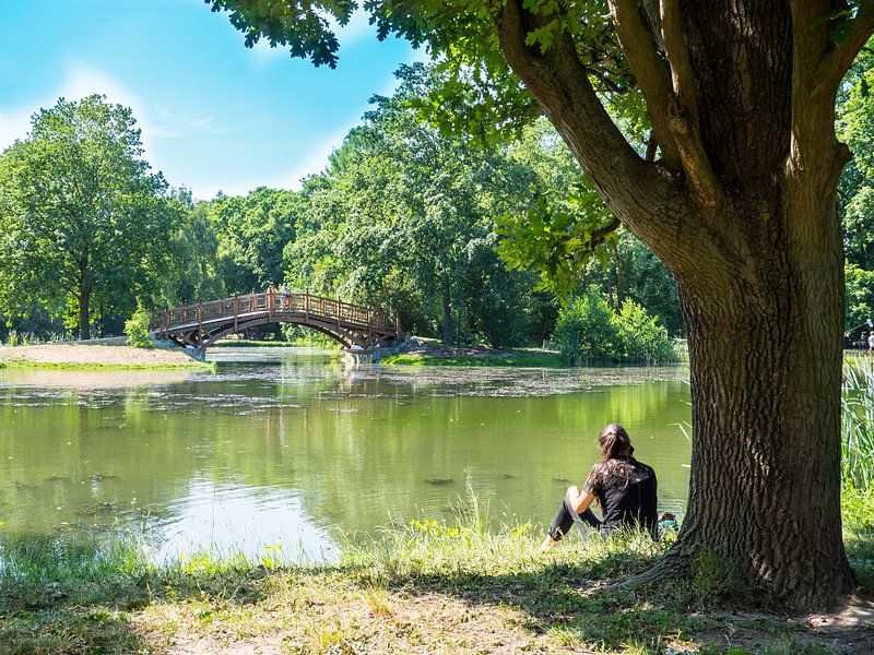Johannapark avec lac à Leipzig par Animaflora PicsStock