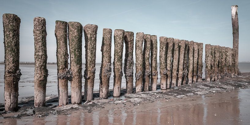 Golfbreker bij Breskens van Albert Mendelewski