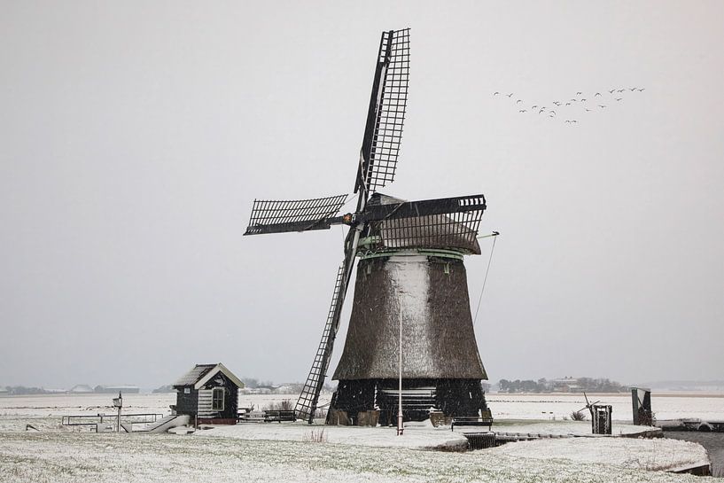 Holländische Windmühle in einer Winterlandschaft von eric van der eijk