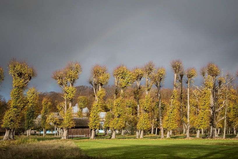 Herfstbeeld von Yvonne van der Meij