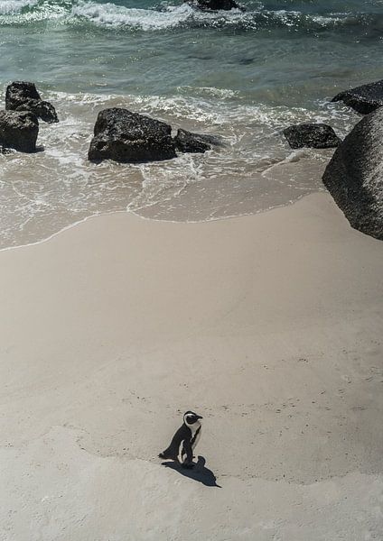 Einsamer Strandspaziergang von Shot by Clint