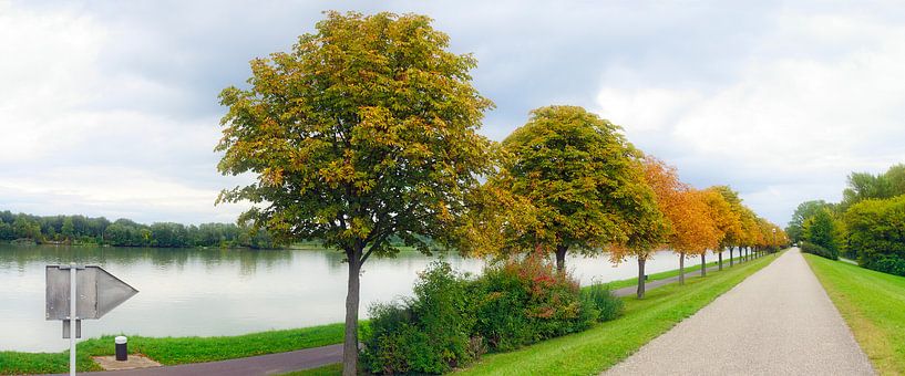 Allee an der Donau bei Tulln von Leopold Brix