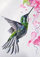 Colibri - Tirage d'art d'une illustration spéciale d'oiseau