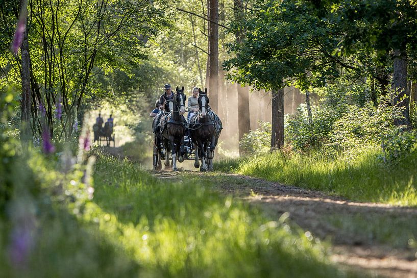 Paard en wagen in het bos von Anne-Marie Pannekoek
