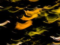 EVEIL DU PRINTEMPS # 46