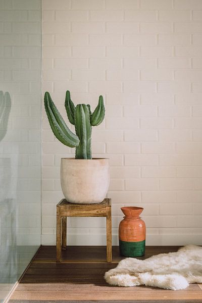 Cactus at home by Karlijne Geudens
