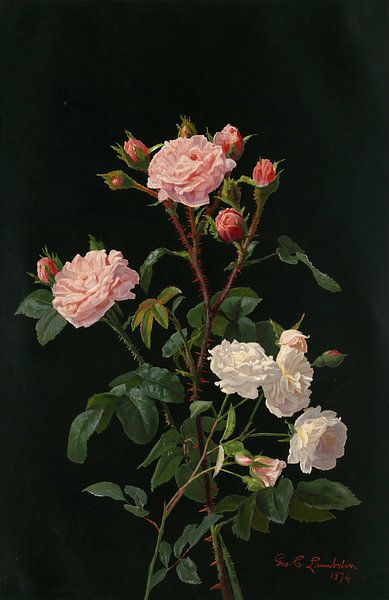 Roses roses et blanches, George Cochran Lambdin par Des maîtres magistraux