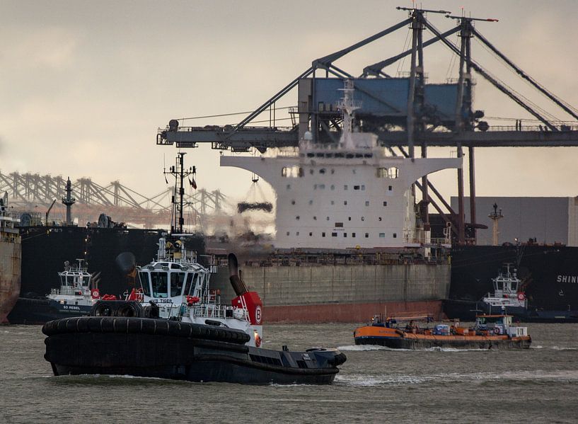 Schlepper in Aktion im Europoort am Abend. von scheepskijkerhavenfotografie