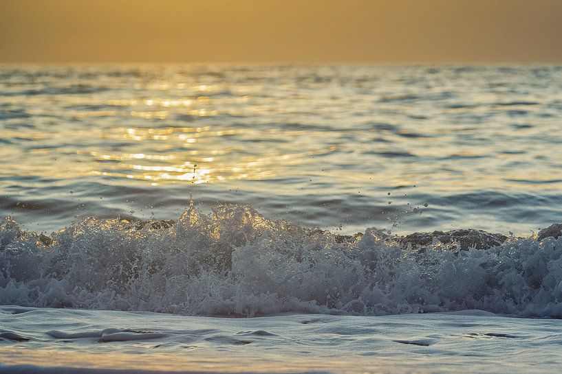 Sommer-Welle von Beate Zoellner