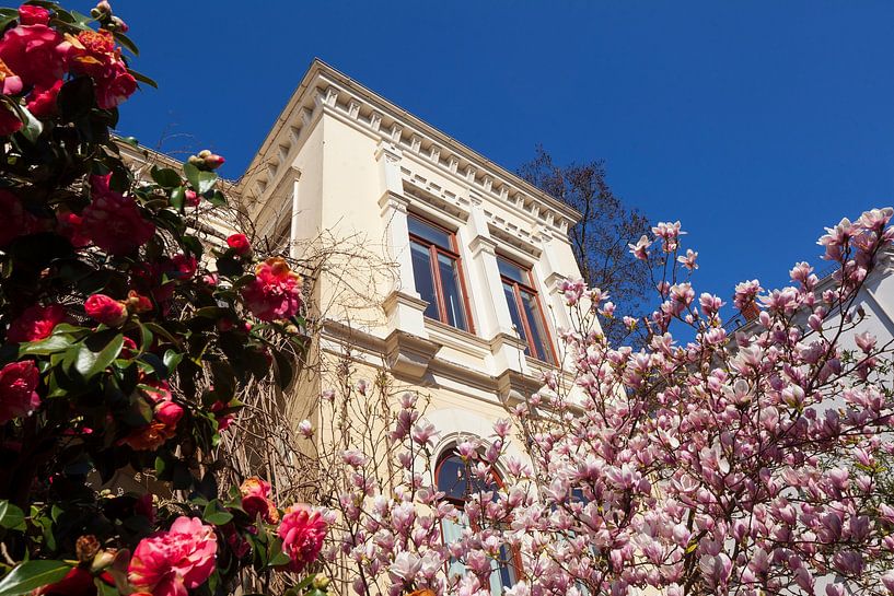 ltbremer house in the street Fedelhören by Torsten Krüger